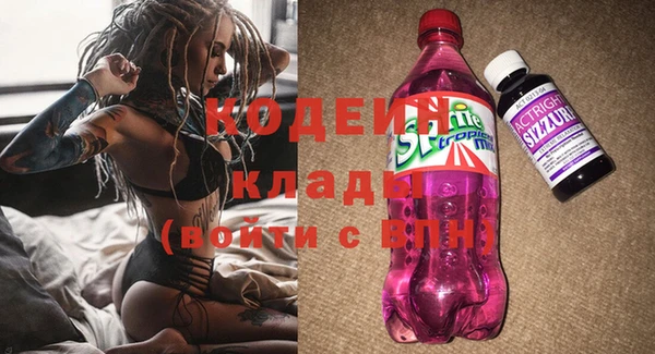 ПСИЛОЦИБИНОВЫЕ ГРИБЫ Богданович