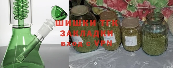 ПСИЛОЦИБИНОВЫЕ ГРИБЫ Богданович