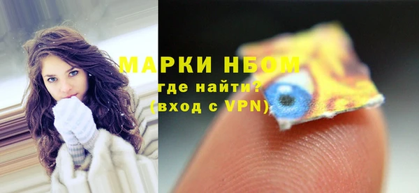 ПСИЛОЦИБИНОВЫЕ ГРИБЫ Богданович