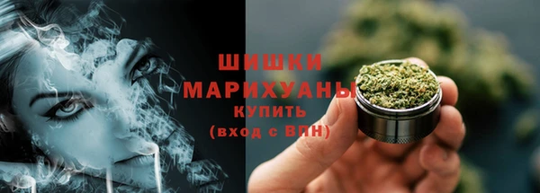 ПСИЛОЦИБИНОВЫЕ ГРИБЫ Богданович