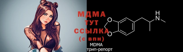 ПСИЛОЦИБИНОВЫЕ ГРИБЫ Богданович