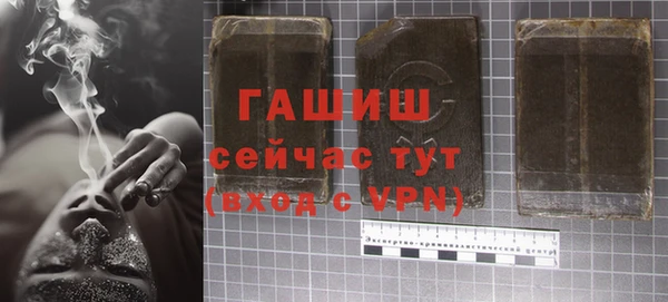 ПСИЛОЦИБИНОВЫЕ ГРИБЫ Богданович
