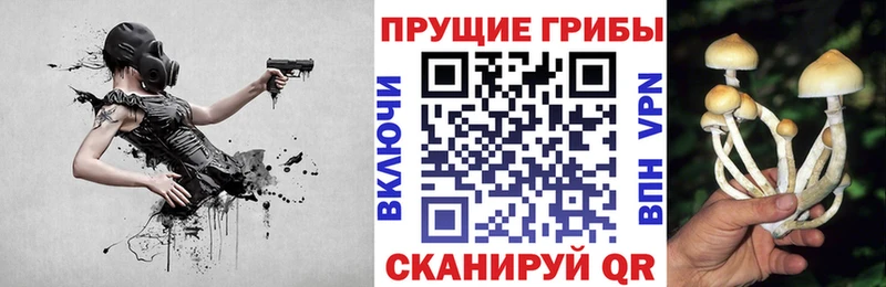 Псилоцибиновые грибы Cubensis  Купить  Пролетарск 